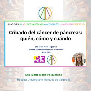 Video Academia ACAD 13ª Entrega